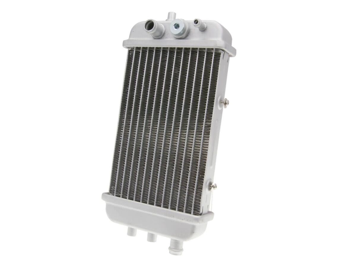 19010831 product image
