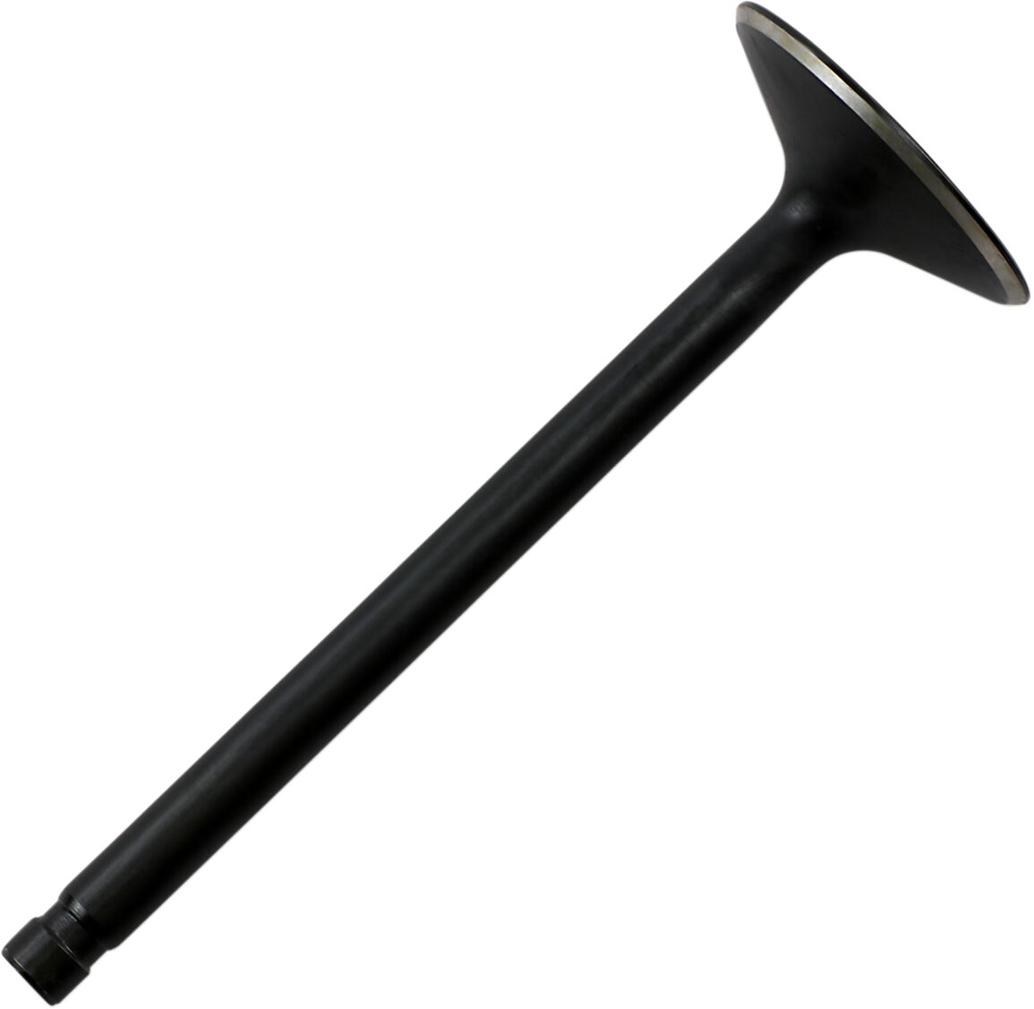 DS198806 product image